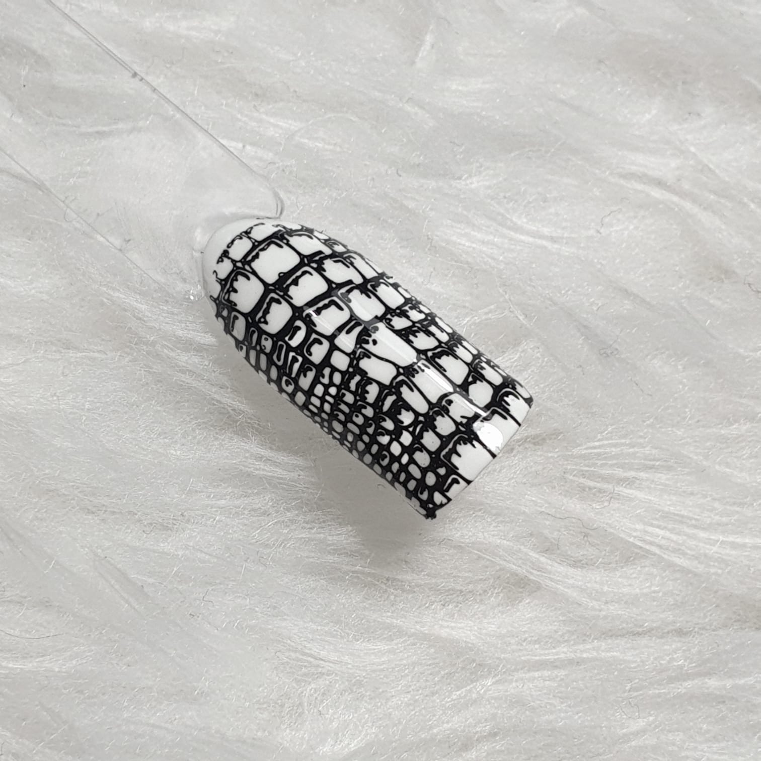 קישוטים לציפורניים